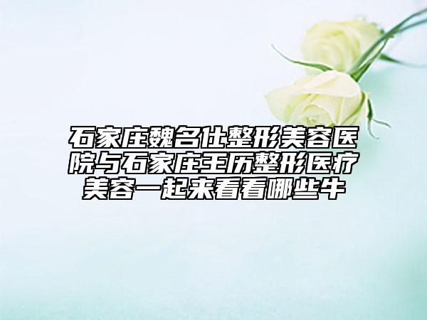 石家莊魏名仕整形美容醫(yī)院與石家莊王歷整形醫(yī)療美容一起來看看哪些牛