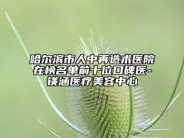 哈爾濱市人中再造術(shù)醫(yī)院在榜名單前十位口碑醫(yī)-鎂涵醫(yī)療美容中心