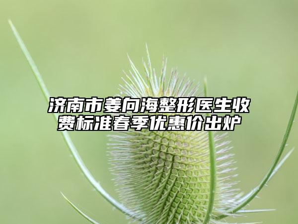 濟(jì)南市姜向海整形醫(yī)生收費(fèi)標(biāo)準(zhǔn)春季優(yōu)惠價(jià)出爐
