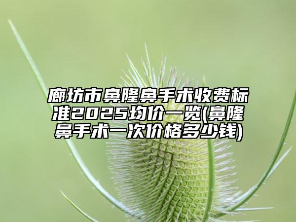 廊坊市鼻隆鼻手術(shù)收費標(biāo)準(zhǔn)2025均價一覽(鼻隆鼻手術(shù)一次價格多少錢)