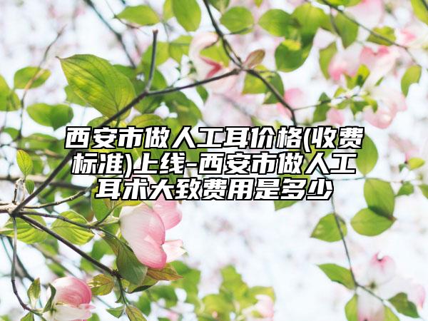 西安市做人工耳價(jià)格(收費(fèi)標(biāo)準(zhǔn))上線-西安市做人工耳術(shù)大致費(fèi)用是多少