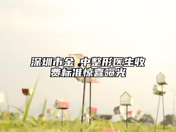 深圳市金湳中整形醫(yī)生收費(fèi)標(biāo)準(zhǔn)驚喜曝光