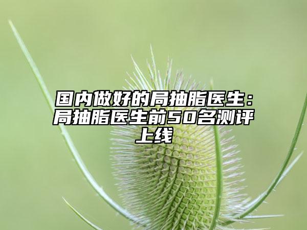 國(guó)內(nèi)做好的局抽脂醫(yī)生：局抽脂醫(yī)生前50名測(cè)評(píng)上線