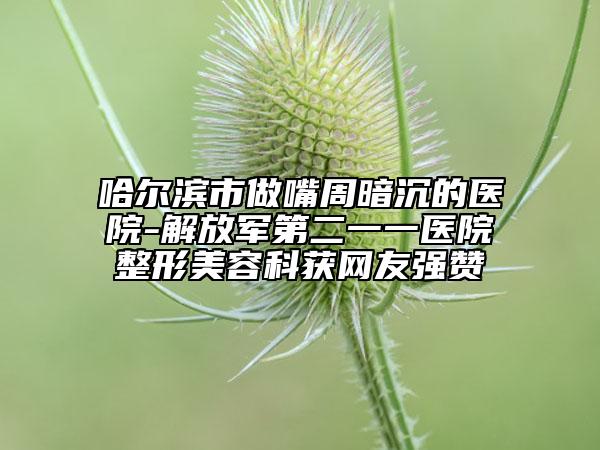 哈爾濱市做嘴周暗沉的醫(yī)院-解放軍第二一一醫(yī)院整形美容科獲網(wǎng)友強(qiáng)贊