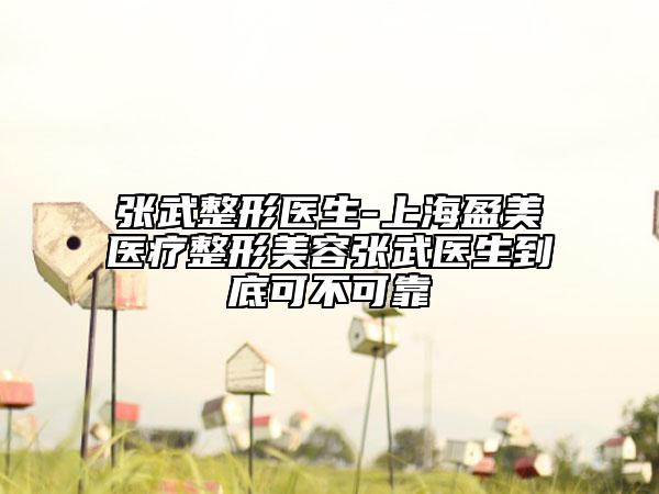 張武整形醫(yī)生-上海盈美醫(yī)療整形美容張武醫(yī)生到底可不可靠
