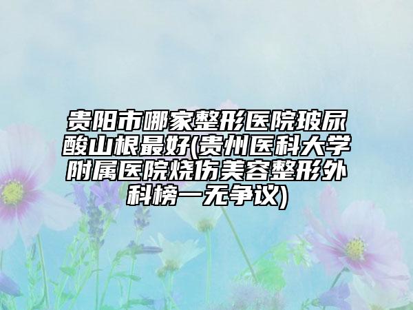 貴陽市哪家整形醫(yī)院玻尿酸山根最好(貴州醫(yī)科大學附屬醫(yī)院燒傷美容整形外科榜一無爭議)