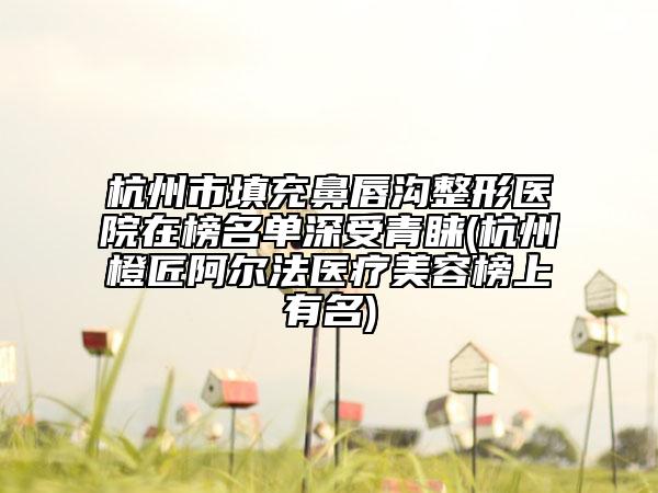 杭州市填充鼻唇溝整形醫(yī)院在榜名單深受青睞(杭州橙匠阿爾法醫(yī)療美容榜上有名)