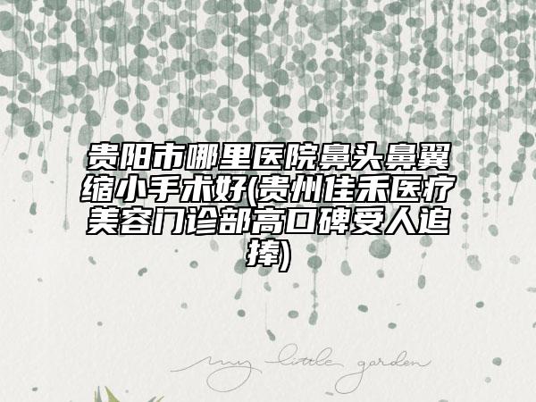 貴陽市哪里醫(yī)院鼻頭鼻翼縮小手術好(貴州佳禾醫(yī)療美容門診部高口碑受人追捧)