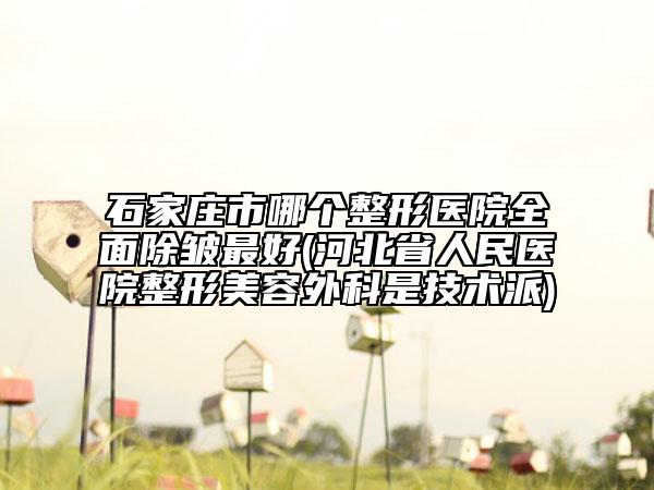 石家莊市哪個整形醫(yī)院全面除皺最好(河北省人民醫(yī)院整形美容外科是技術派)