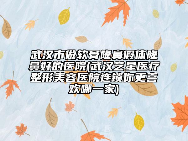 武漢市做軟骨隆鼻假體隆鼻好的醫(yī)院(武漢藝星醫(yī)療整形美容醫(yī)院連鎖你更喜歡哪一家)