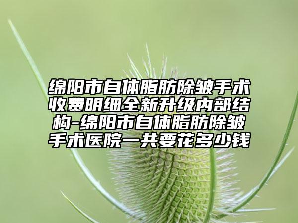 綿陽(yáng)市自體脂肪除皺手術(shù)收費(fèi)明細(xì)全新升級(jí)內(nèi)部結(jié)構(gòu)-綿陽(yáng)市自體脂肪除皺手術(shù)醫(yī)院一共要花多少錢