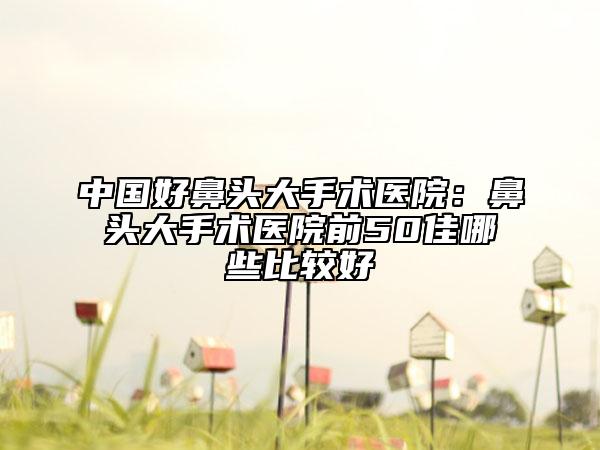 中國好鼻頭大手術(shù)醫(yī)院：鼻頭大手術(shù)醫(yī)院前50佳哪些比較好