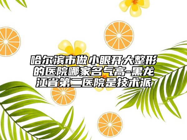 哈爾濱市做小眼開大整形的醫(yī)院哪家名氣高-黑龍江省第二醫(yī)院是技術(shù)派