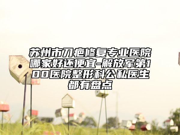 蘇州市刀疤修復(fù)專業(yè)醫(yī)院哪家好還便宜-解放軍第100醫(yī)院整形科公私醫(yī)生都有盤點(diǎn)