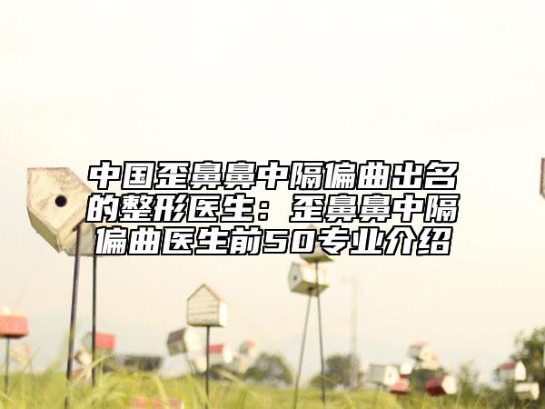 中國(guó)歪鼻鼻中隔偏曲出名的整形醫(yī)生：歪鼻鼻中隔偏曲醫(yī)生前50專業(yè)介紹