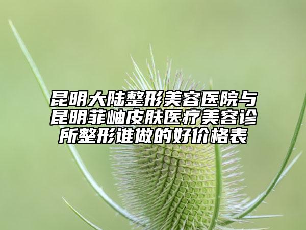 昆明大陸整形美容醫(yī)院與昆明菲岫皮膚醫(yī)療美容診所整形誰(shuí)做的好價(jià)格表
