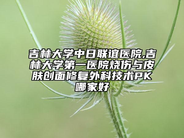 吉林大學中日聯(lián)誼醫(yī)院,吉林大學第一醫(yī)院燒傷與皮膚創(chuàng)面修復外科技術PK哪家好