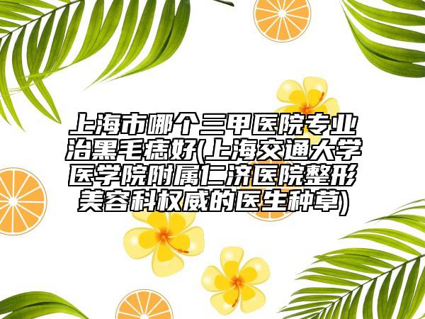上海市哪個三甲醫(yī)院專業(yè)治黑毛痣好(上海交通大學(xué)醫(yī)學(xué)院附屬仁濟醫(yī)院整形美容科權(quán)威的醫(yī)生種草)