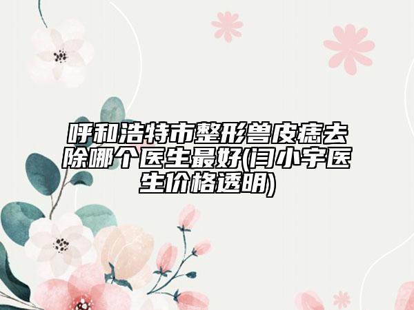 呼和浩特市整形獸皮痣去除哪個醫(yī)生最好(閆小宇醫(yī)生價格透明)