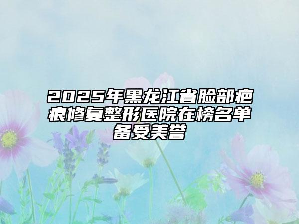 2025年黑龍江省臉部疤痕修復(fù)整形醫(yī)院在榜名單備受美譽