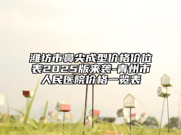 濰坊市鼻尖成型價(jià)格價(jià)位表2025版來(lái)襲-青州市人民醫(yī)院價(jià)格一覽表