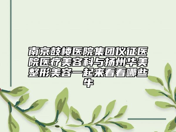 南京鼓樓醫(yī)院集團(tuán)儀征醫(yī)院醫(yī)療美容科與揚(yáng)州華美整形美容一起來看看哪些牛