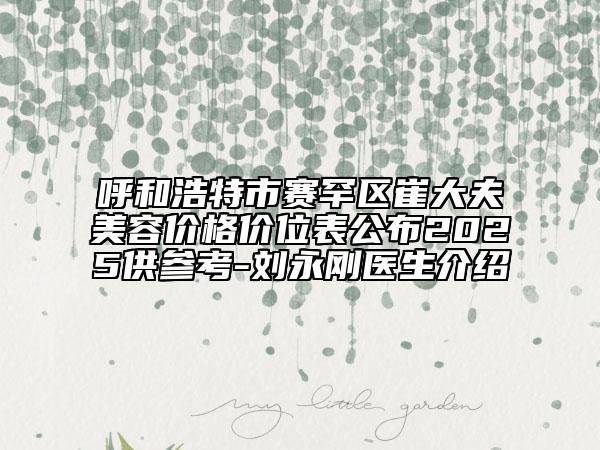 呼和浩特市賽罕區(qū)崔大夫美容價(jià)格價(jià)位表公布2025供參考-劉永剛醫(yī)生介紹