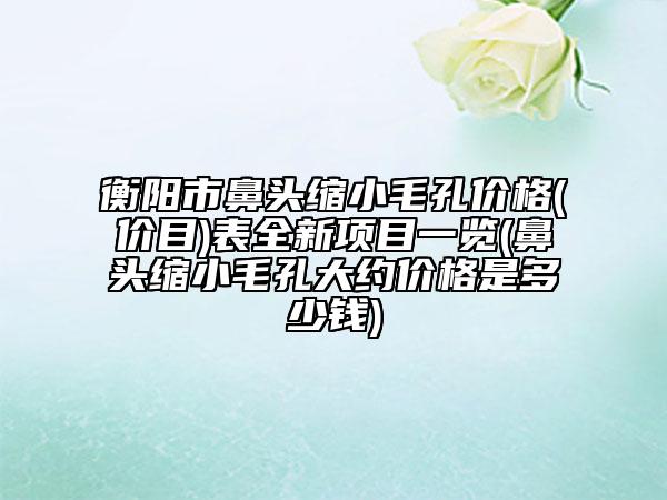 衡陽(yáng)市鼻頭縮小毛孔價(jià)格(價(jià)目)表全新項(xiàng)目一覽(鼻頭縮小毛孔大約價(jià)格是多少錢)