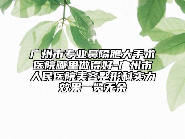 廣州市專業(yè)鼻隔肥大手術(shù)醫(yī)院哪里做得好-廣州市人民醫(yī)院美容整形科實力效果一覽無余
