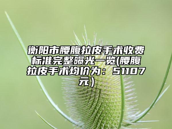 衡陽市腰腹拉皮手術(shù)收費標準完整曝光一覽(腰腹拉皮手術(shù)均價為：51107元）