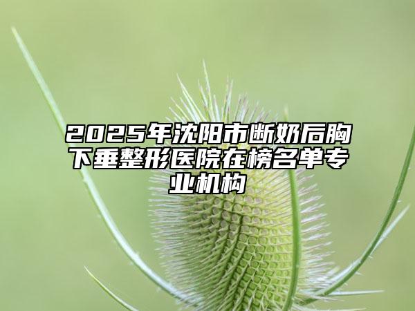 2025年沈陽市斷奶后胸下垂整形醫(yī)院在榜名單專業(yè)機(jī)構(gòu)