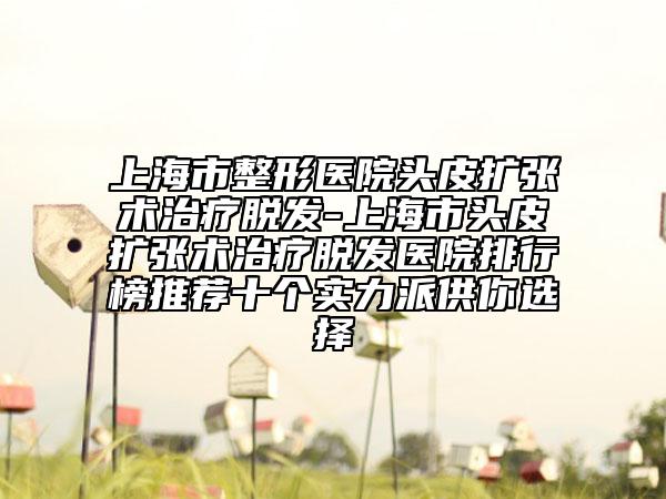 上海市整形醫(yī)院頭皮擴張術(shù)治療脫發(fā)-上海市頭皮擴張術(shù)治療脫發(fā)醫(yī)院排行榜推薦十個實力派供你選擇