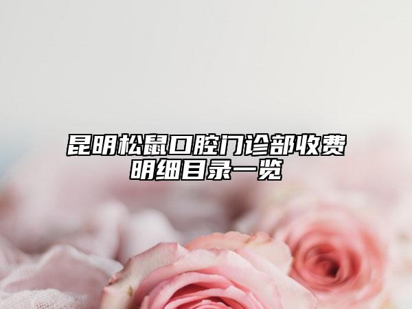 昆明松鼠口腔門診部收費明細目錄一覽