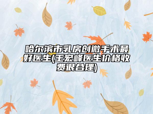 哈爾濱市乳房創(chuàng)微手術(shù)最好醫(yī)生(王宏峰醫(yī)生價(jià)格收費(fèi)很合理)