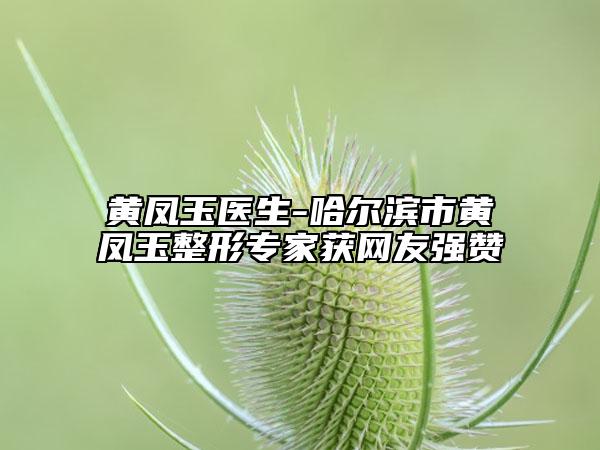 黃鳳玉醫(yī)生-哈爾濱市黃鳳玉整形專家獲網(wǎng)友強贊
