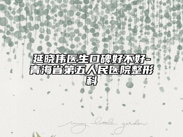 延曉偉醫(yī)生口碑好不好-青海省第五人民醫(yī)院整形科