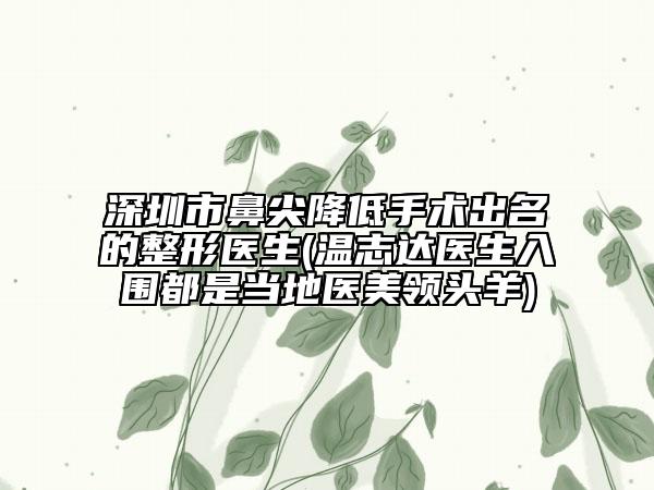深圳市鼻尖降低手術出名的整形醫(yī)生(溫志達醫(yī)生入圍都是當?shù)蒯t(yī)美領頭羊)