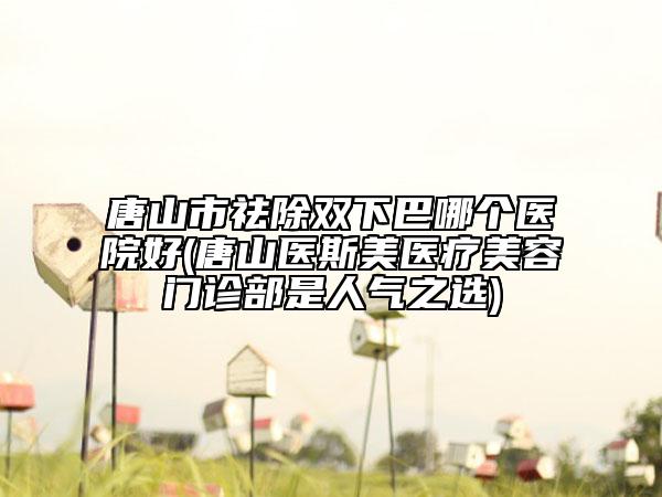 唐山市祛除雙下巴哪個(gè)醫(yī)院好(唐山醫(yī)斯美醫(yī)療美容門診部是人氣之選)