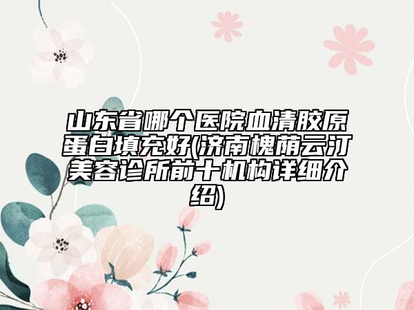 山東省哪個(gè)醫(yī)院血清膠原蛋白填充好(濟(jì)南槐蔭云汀美容診所前十機(jī)構(gòu)詳細(xì)介紹)