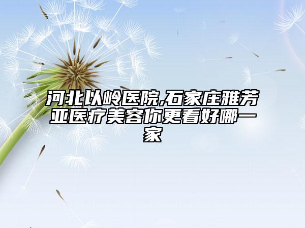 河北以嶺醫(yī)院,石家莊雅芳亞醫(yī)療美容你更看好哪一家