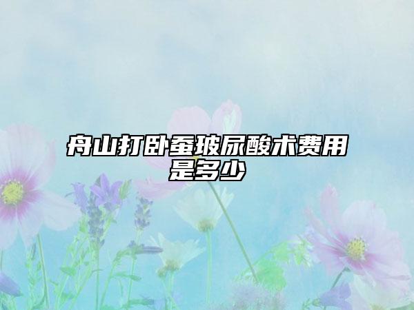 舟山打臥蠶玻尿酸術(shù)費(fèi)用是多少