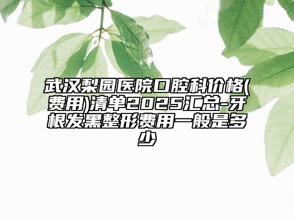 武漢梨園醫(yī)院口腔科價(jià)格(費(fèi)用)清單2025匯總-牙根發(fā)黑整形費(fèi)用一般是多少