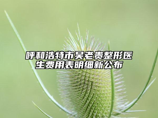 呼和浩特市吳老貴整形醫(yī)生費用表明細新公布