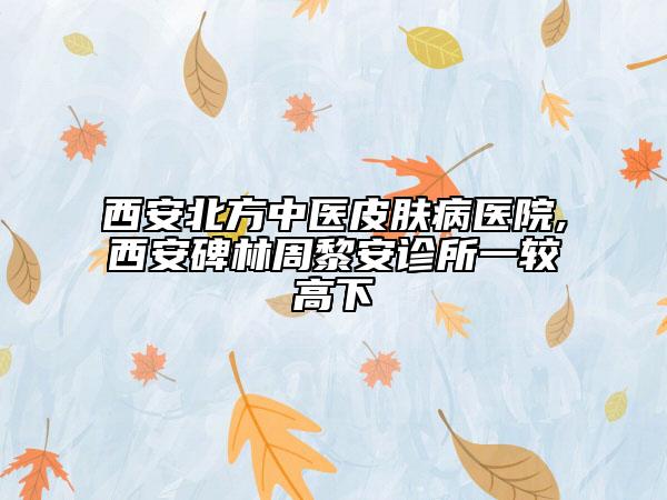 西安北方中醫(yī)皮膚病醫(yī)院,西安碑林周黎安診所一較高下