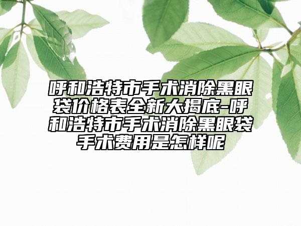 呼和浩特市手術(shù)消除黑眼袋價格表全新大揭底-呼和浩特市手術(shù)消除黑眼袋手術(shù)費用是怎樣呢