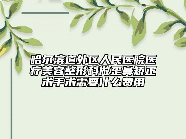 哈爾濱道外區(qū)人民醫(yī)院醫(yī)療美容整形科做歪鼻矯正術(shù)手術(shù)需要什么費(fèi)用