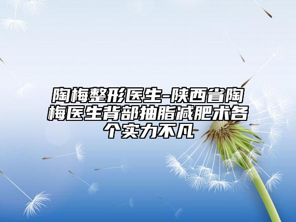 陶梅整形醫(yī)生-陜西省陶梅醫(yī)生背部抽脂減肥術各個實力不凡