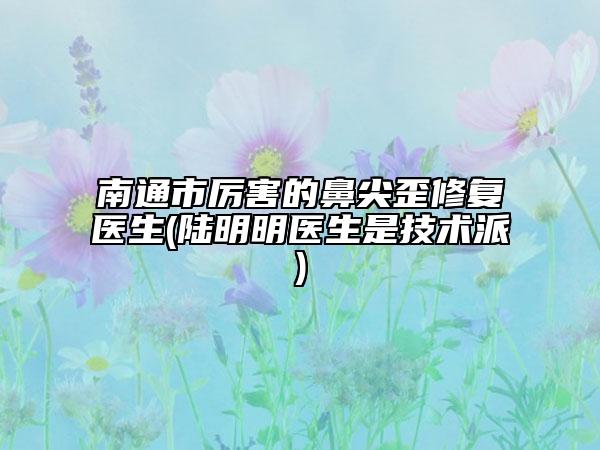 南通市厲害的鼻尖歪修復醫(yī)生(陸明明醫(yī)生是技術(shù)派)