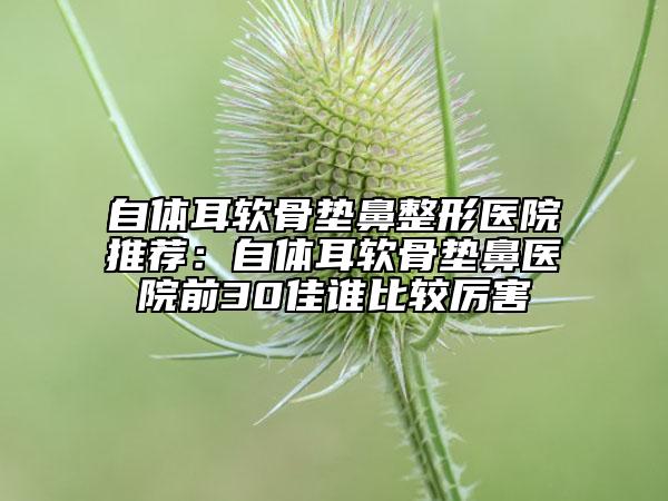自體耳軟骨墊鼻整形醫(yī)院推薦：自體耳軟骨墊鼻醫(yī)院前30佳誰(shuí)比較厲害