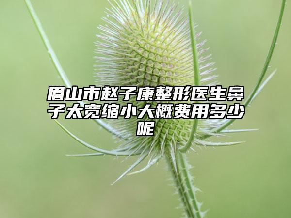 眉山市趙子康整形醫(yī)生鼻子太寬縮小大概費(fèi)用多少呢